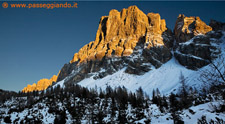 Il Civetta dai Piani di Pelsa