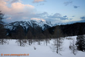 Sasso Bosco Nero